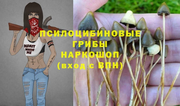 трава Аша