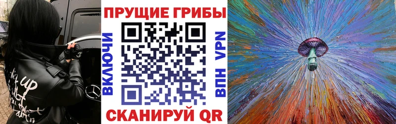 kraken сайт  Краснообск  Галлюциногенные грибы Cubensis  что такое наркотик 